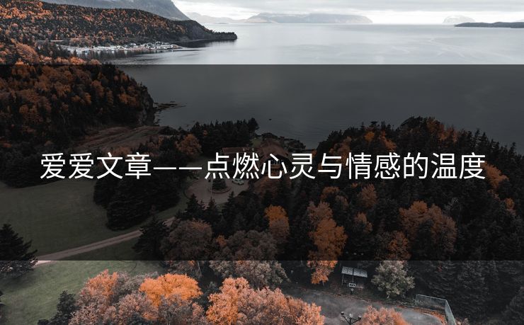 爱爱文章——点燃心灵与情感的温度