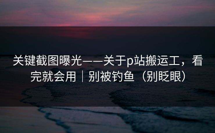 关键截图曝光——关于p站搬运工，看完就会用｜别被钓鱼（别眨眼）