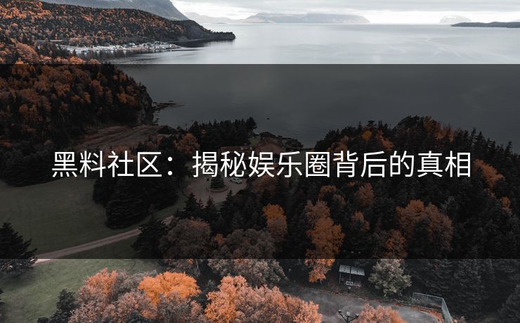 黑料社区:揭秘娱乐圈背后的真相